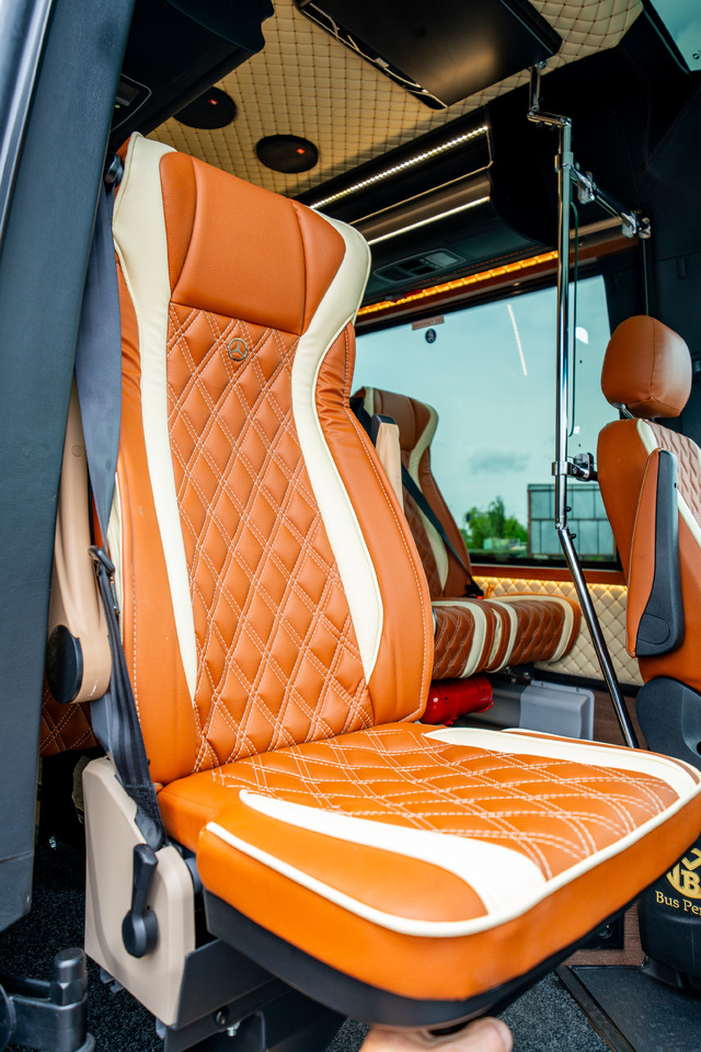 Leasing financiero de MERCEDES-BENZ SPRINTER 519 CDI (MB BUSPERFECT) leasing MERCEDES-BENZ SPRINTER 519 CDI (MB BUSPERFECT): foto 46