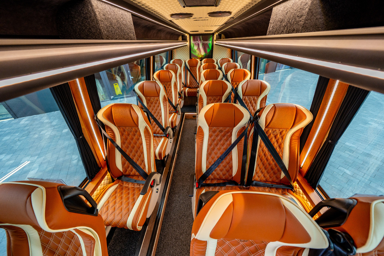 Leasing financiero de MERCEDES-BENZ SPRINTER 519 CDI (MB BUSPERFECT) leasing MERCEDES-BENZ SPRINTER 519 CDI (MB BUSPERFECT): foto 38