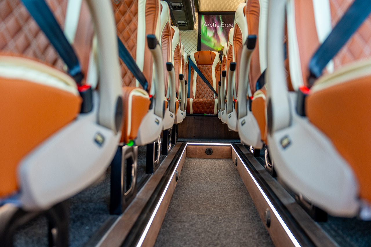 Leasing financiero de MERCEDES-BENZ SPRINTER 519 CDI (MB BUSPERFECT) leasing MERCEDES-BENZ SPRINTER 519 CDI (MB BUSPERFECT): foto 21