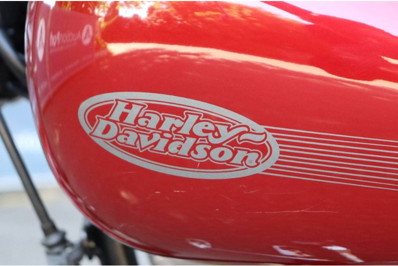 Motocicleta Harley-Davidson Softail Standard: foto 18