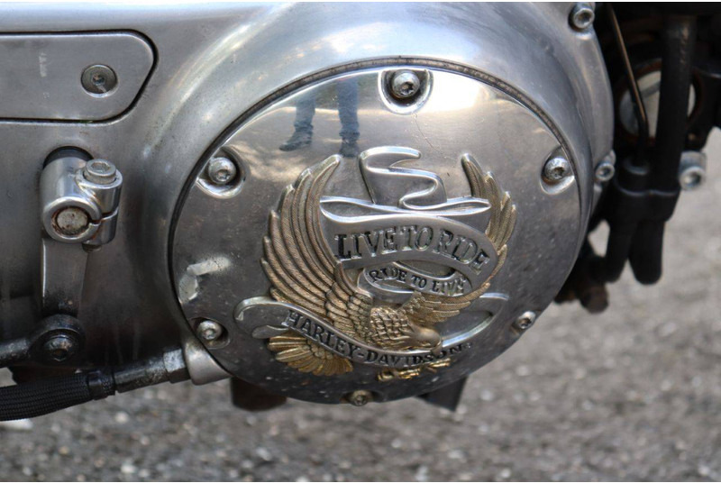Motocicleta Harley-Davidson Sportster XL 883 Roadster: foto 18 Motocicleta Harley-Davidson Sportster XL 883 Roadster: foto 18