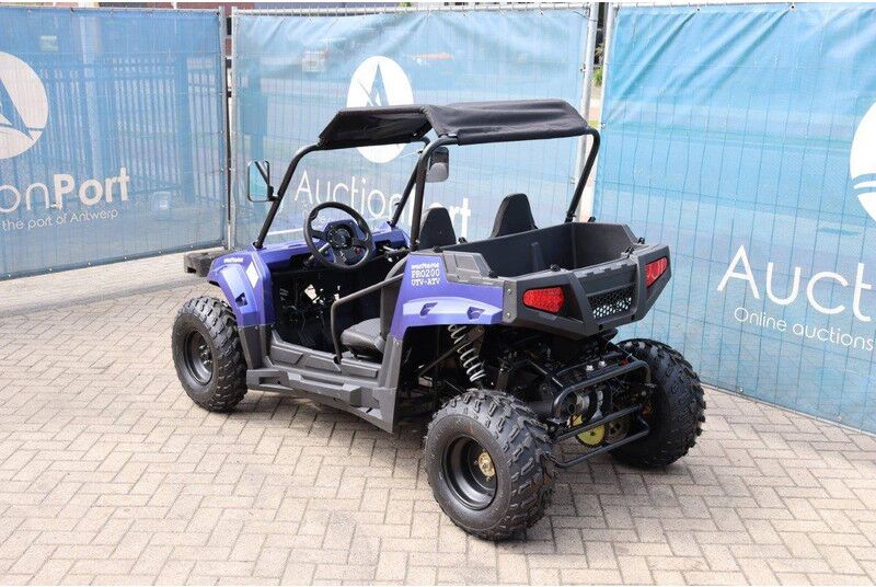 Wextrem UTV-ATV 200Pro - Carrito de golf: foto 3 Wextrem UTV-ATV 200Pro - Carrito de golf: foto 3
