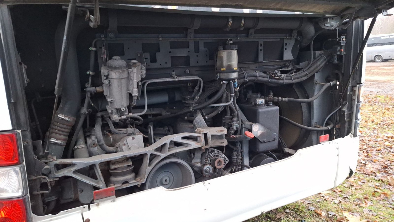 Leasing financiero de MAN A21 A20/Citaro leasing MAN A21 A20/Citaro: foto 6 Leasing financiero de MAN A21 A20/Citaro leasing MAN A21 A20/Citaro: foto 6